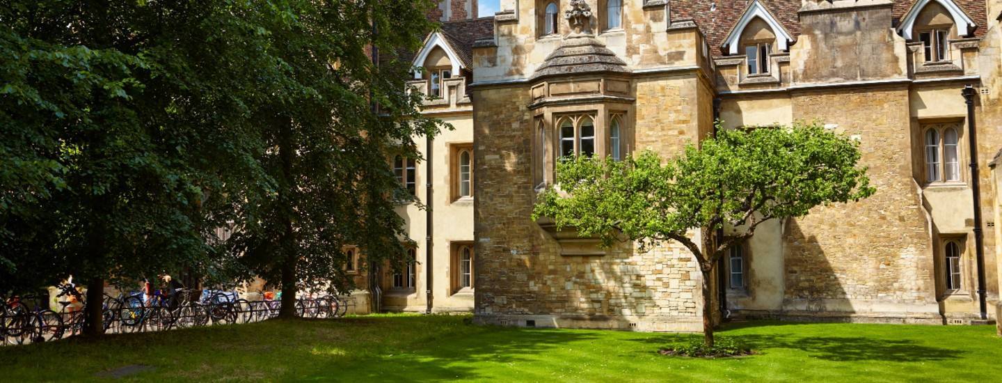 cambridge newton apple tree